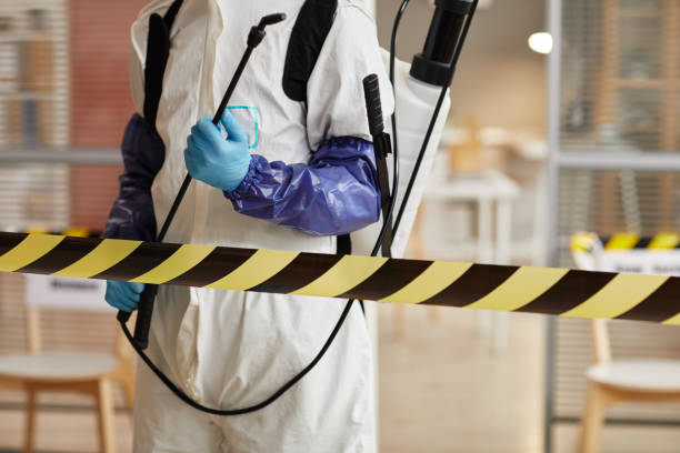 Professional Sewage Cleanup technician working in Eatonville, FL